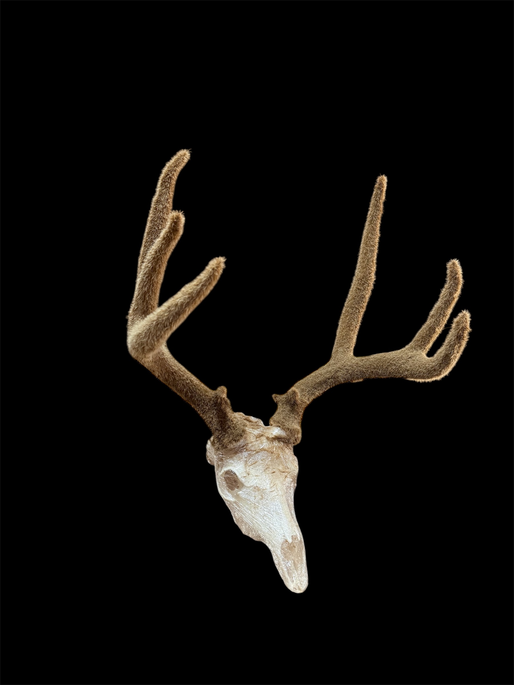 Velvet euro mount by Cedar Ridge Velvet Co.